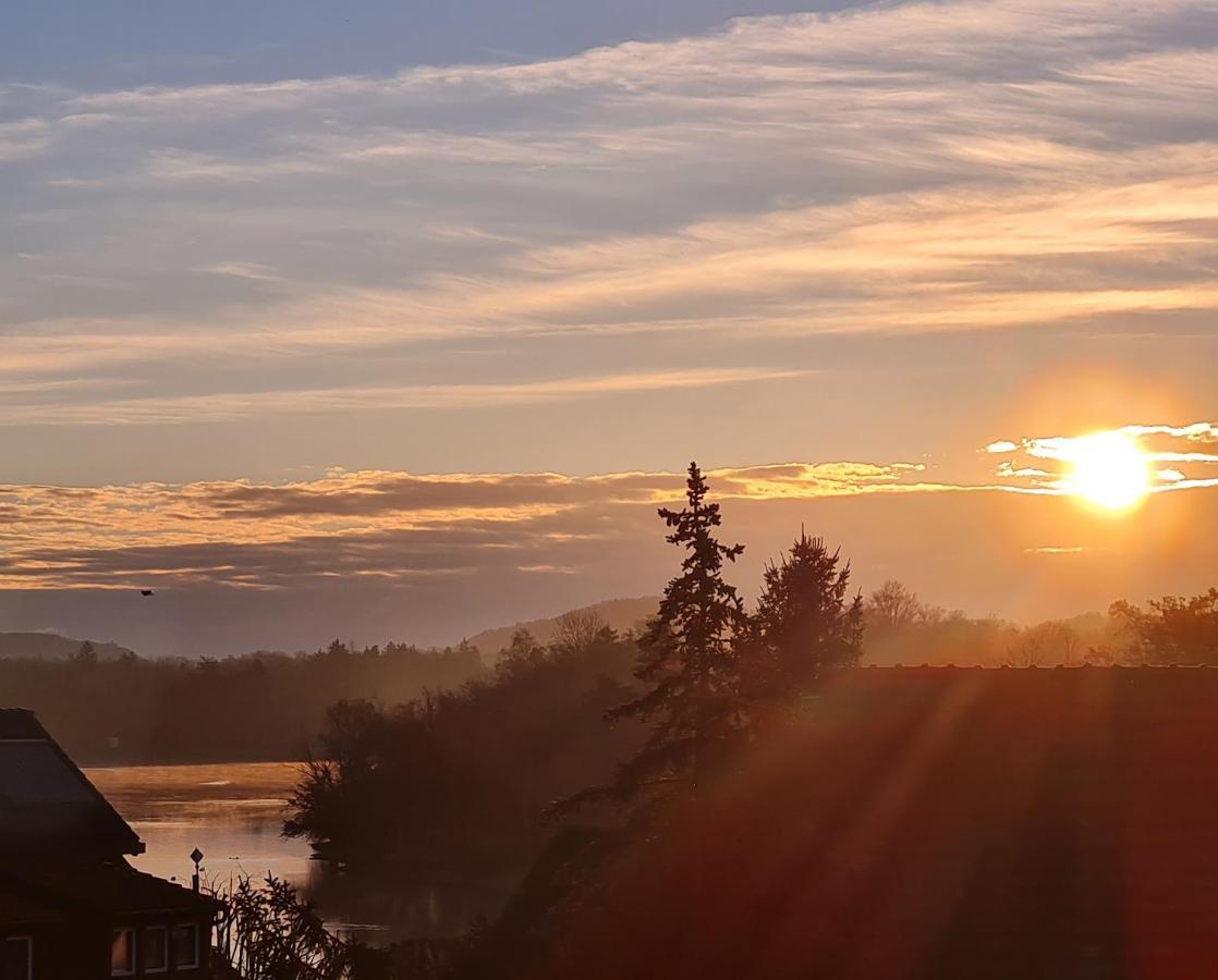 Ferienwohnung Rheinblick In Buesingen -Keine Monteure- Busingen Экстерьер фото