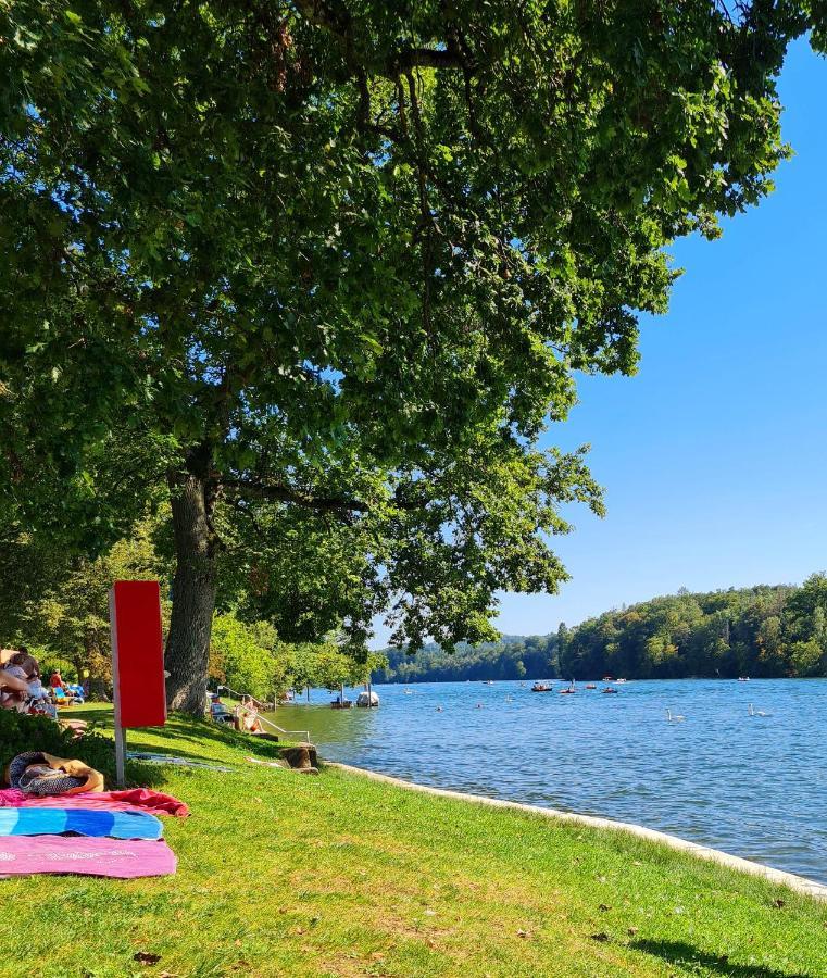 Ferienwohnung Rheinblick In Buesingen -Keine Monteure- Busingen Экстерьер фото