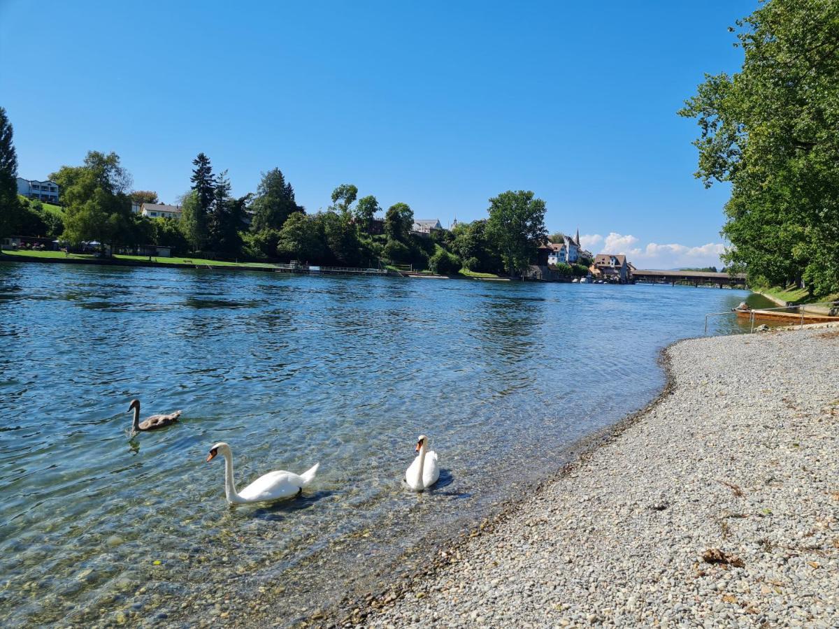 Ferienwohnung Rheinblick In Buesingen -Keine Monteure- Busingen Экстерьер фото