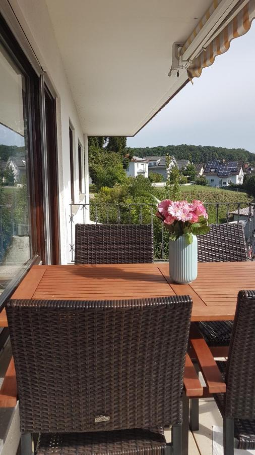 Ferienwohnung Rheinblick In Buesingen -Keine Monteure- Busingen Экстерьер фото