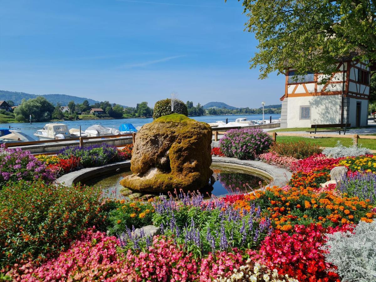 Ferienwohnung Rheinblick In Buesingen -Keine Monteure- Busingen Экстерьер фото