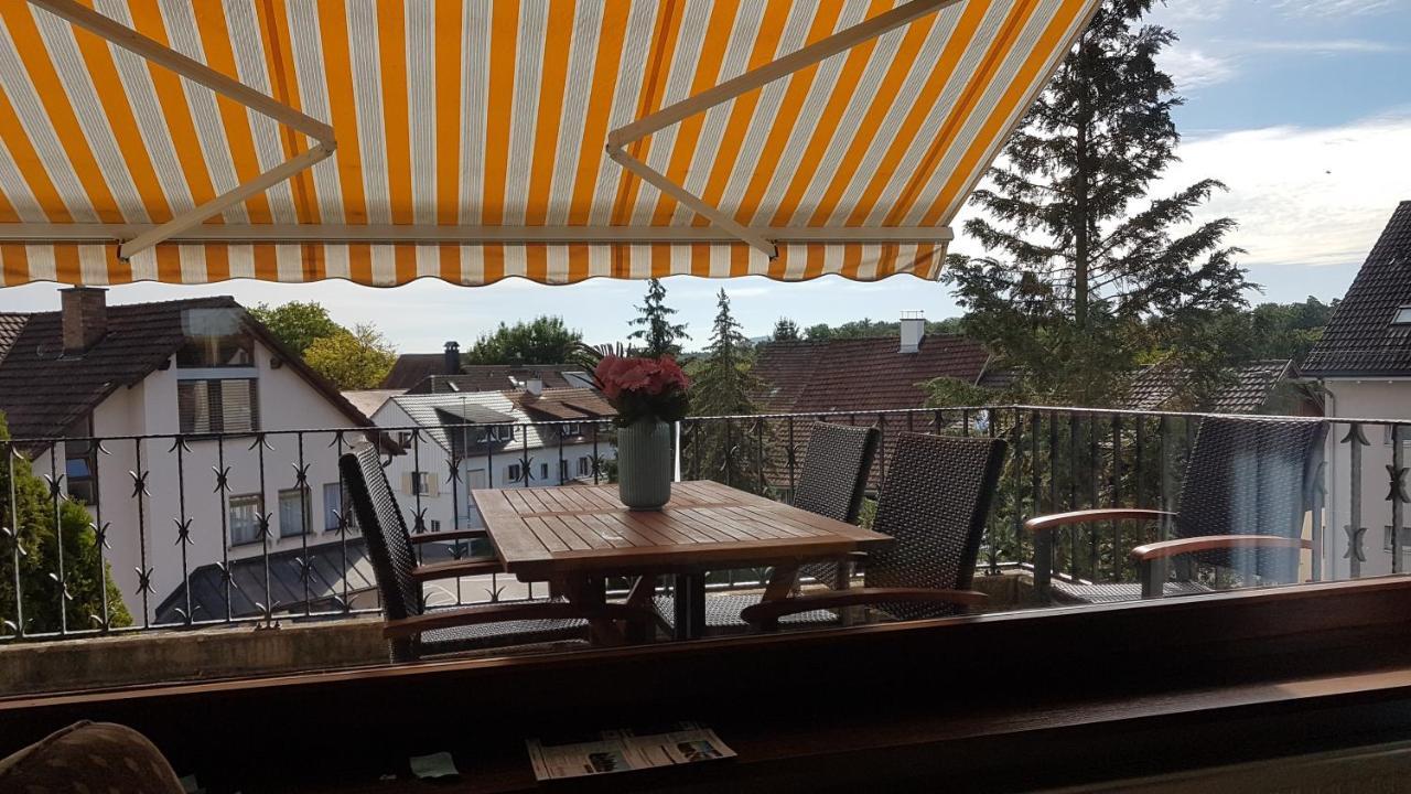 Ferienwohnung Rheinblick In Buesingen -Keine Monteure- Busingen Экстерьер фото
