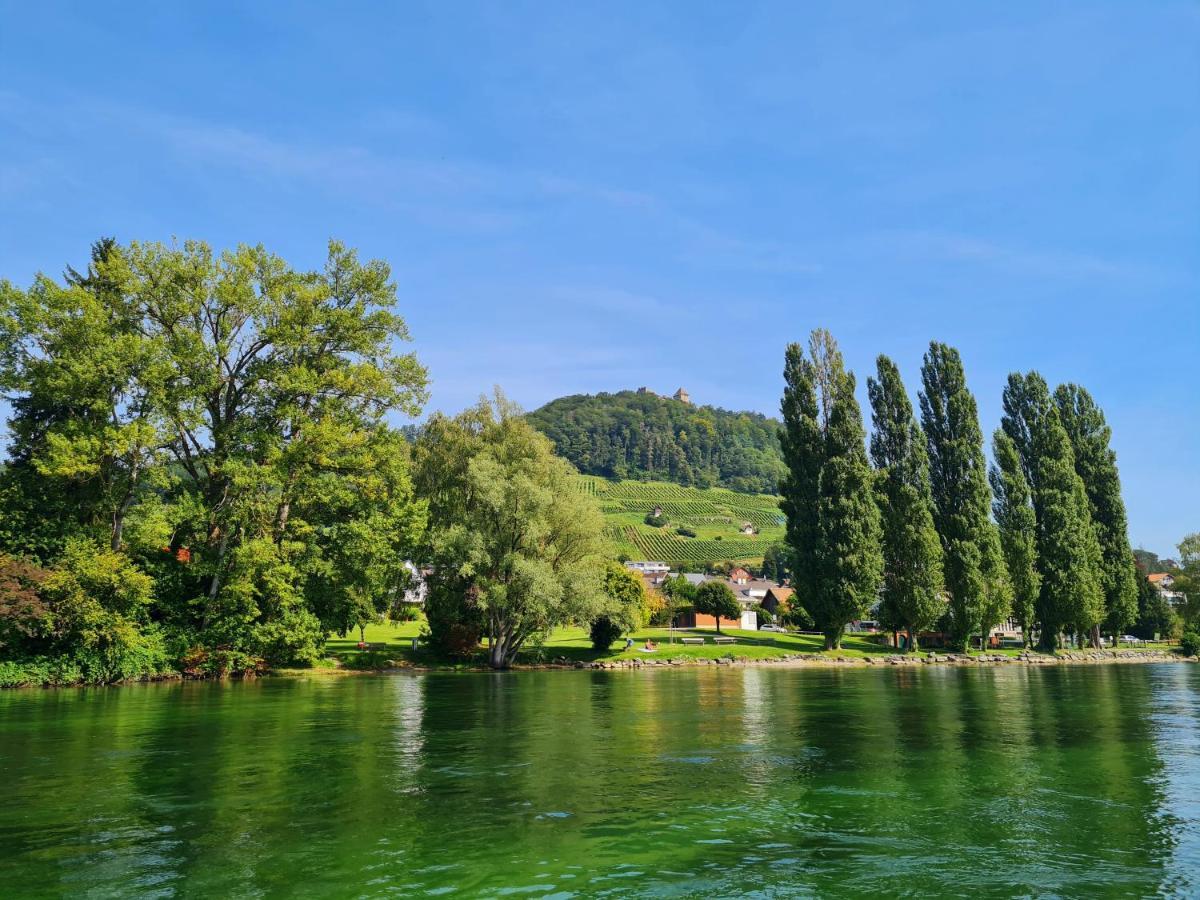 Ferienwohnung Rheinblick In Buesingen -Keine Monteure- Busingen Экстерьер фото