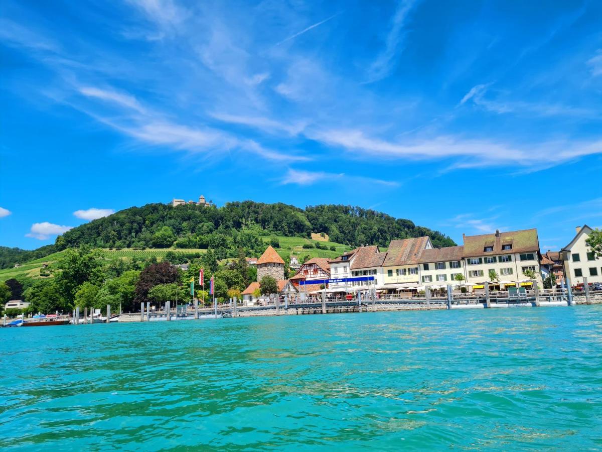 Ferienwohnung Rheinblick In Buesingen -Keine Monteure- Busingen Экстерьер фото