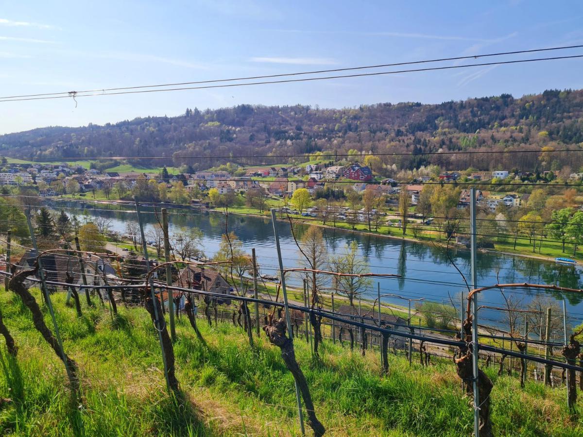 Ferienwohnung Rheinblick In Buesingen -Keine Monteure- Busingen Экстерьер фото