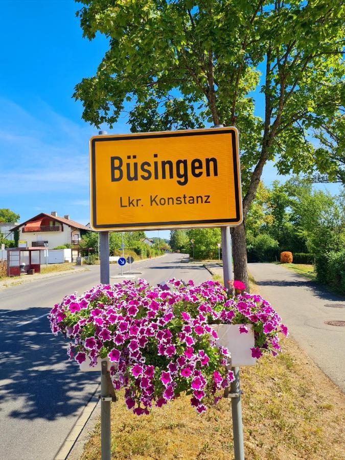 Ferienwohnung Rheinblick In Buesingen -Keine Monteure- Busingen Экстерьер фото